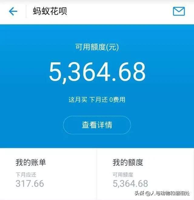 花呗消费趋势深度解析，用户行为变化报告出炉