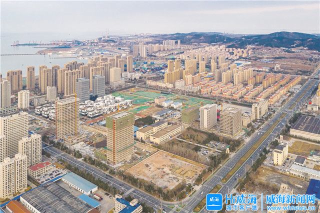 山东省新时代地方发展路径探索，最新案例研究分析