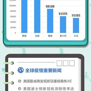 全球疫情最新资讯深度解读与解析