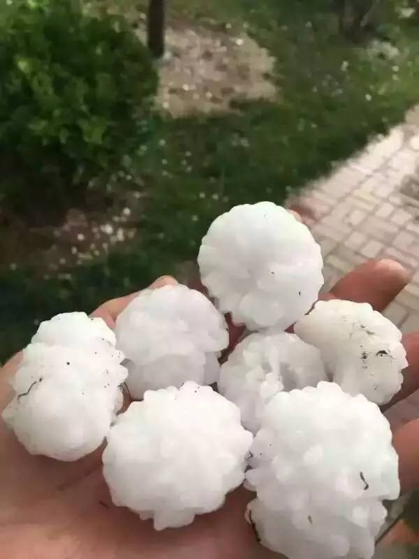 天津市冰雹灾害最新情况报告