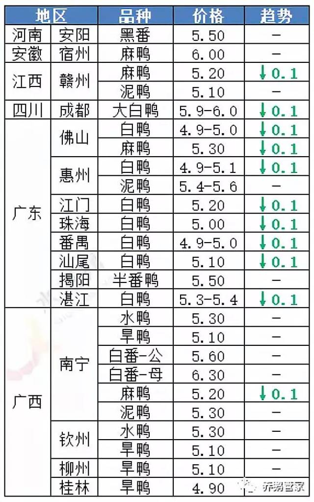 官网最新鹅价动态解析