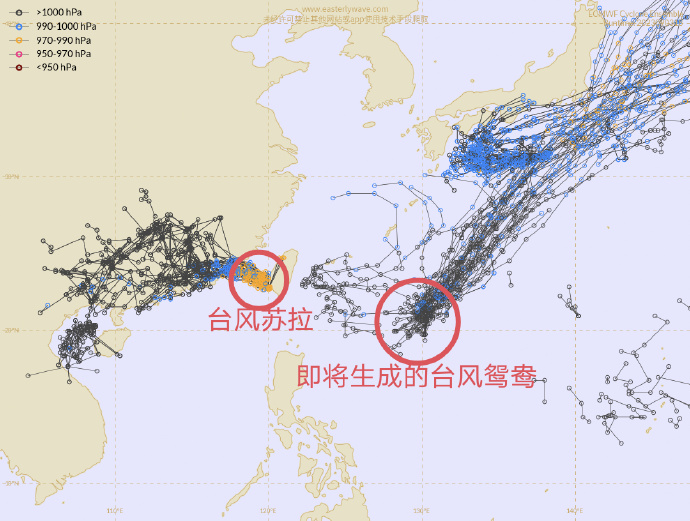 莎台风路径最新分析报告