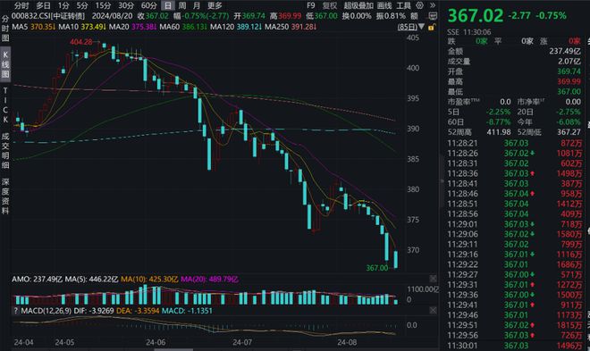 中国最新A股指数，趋势解析与机遇挑战并存