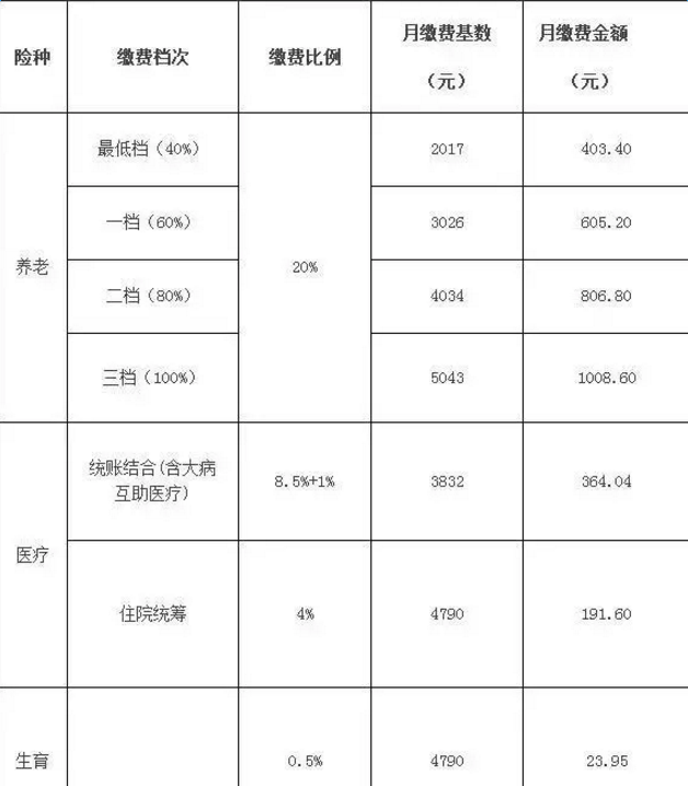 山东社保最新缴费基数全面解析