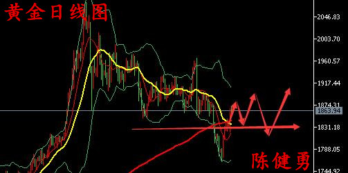 国际黄金白银走势最新分析概览