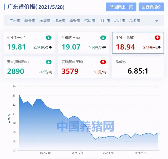 广东生猪最新价格动态分析今日报告