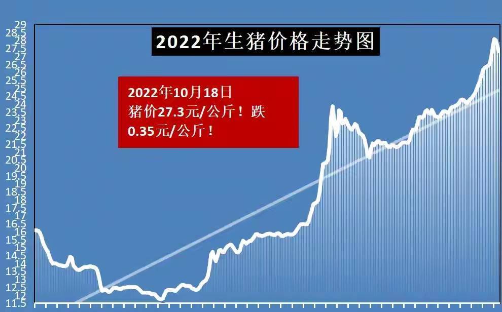 最新猪价走势分析，市场趋势及影响因素深度探讨