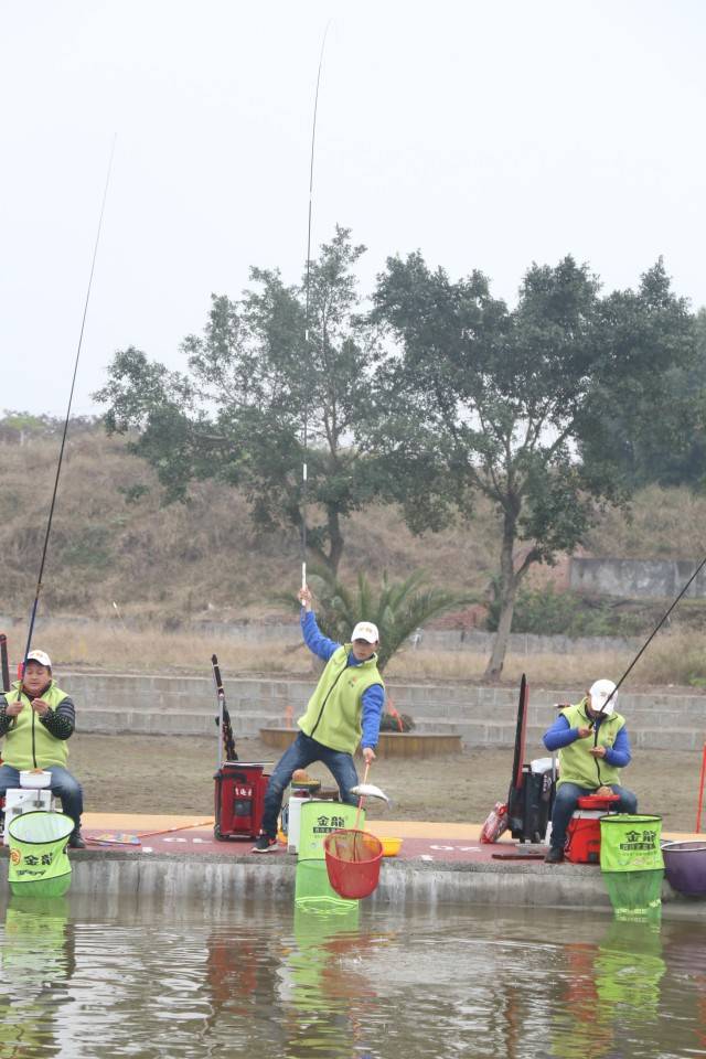 最新内江钓鱼网，垂钓胜地的探索与鱼乐无穷的体验