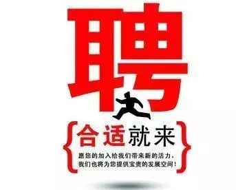 鸣凰最新招聘启事，共铸辉煌，探寻人才之巅