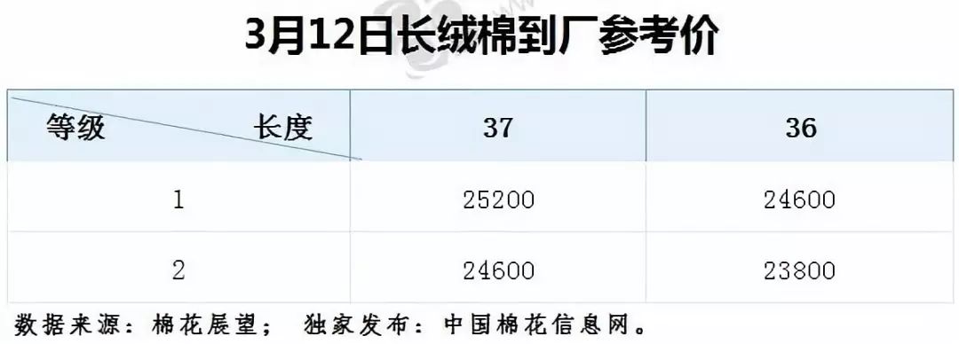 山东棉花今日最新价格动态解析