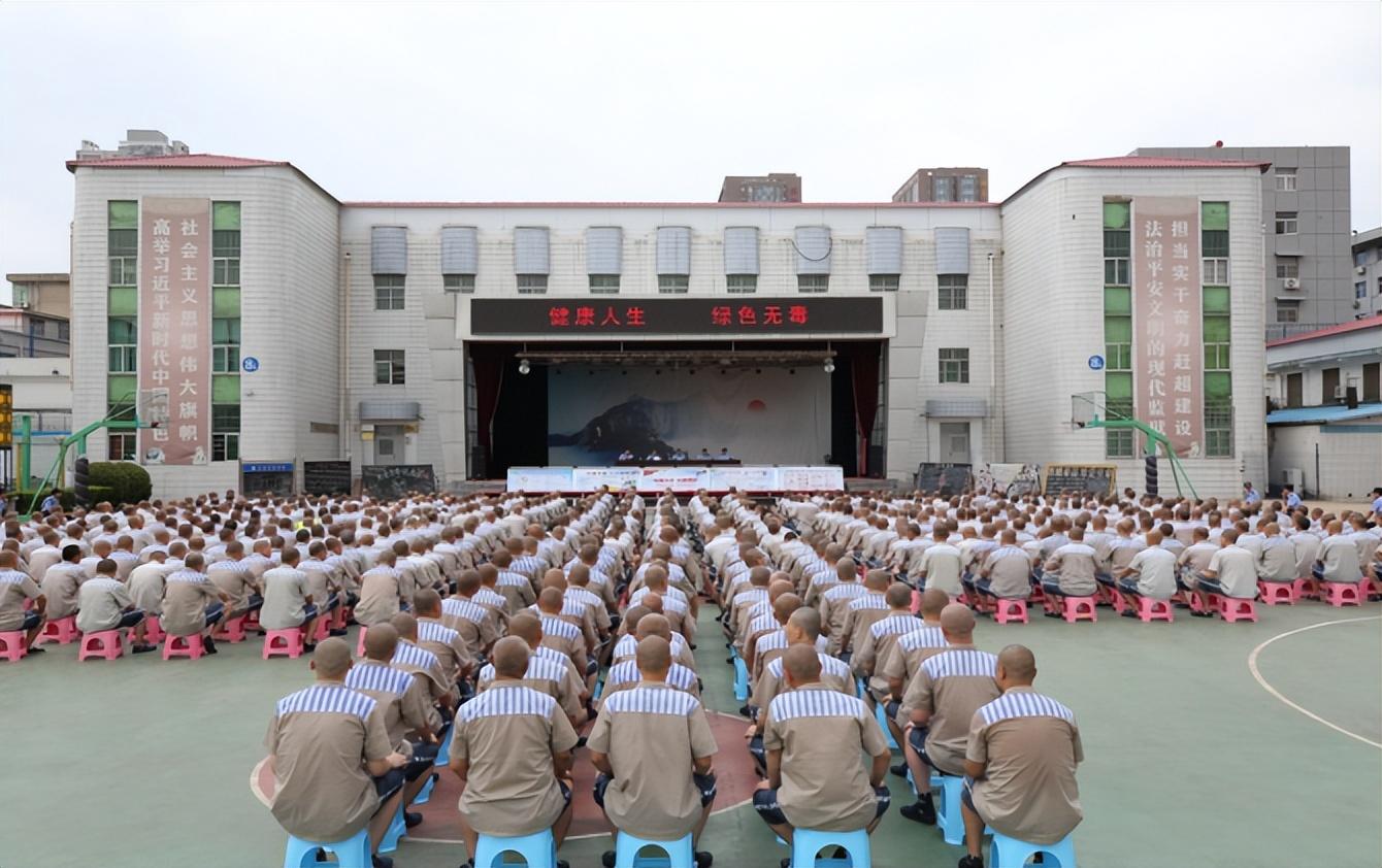 陕西教育学会引领改革，共创教育未来新篇章