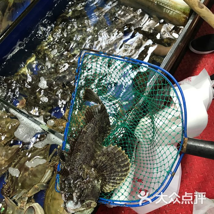 天鹏海鲜城最新价格一览