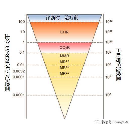 慢粒治愈新突破，带来治愈的希望消息