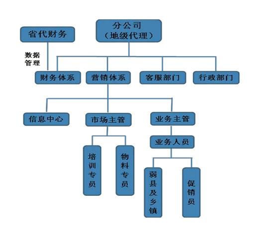 最新组织处理，理论到实践的综合探讨解析