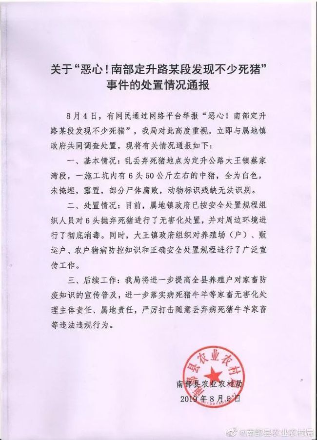 南部定升路迈向现代化交通新征程的最新动态