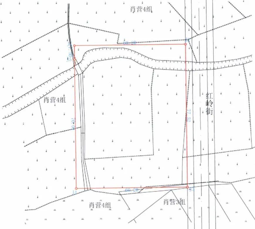 东津最新房价走势与市场洞察分析