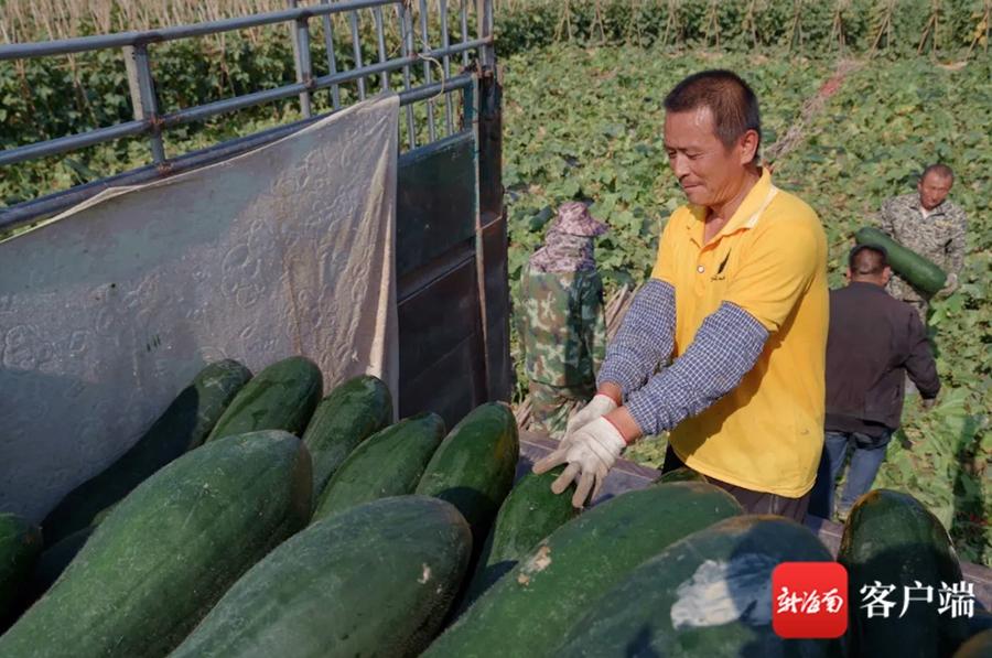 崖州区规划更新，现代化城市新标杆打造进行时