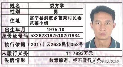 南靖最新失信人名单，失信行为的警示与反思实录