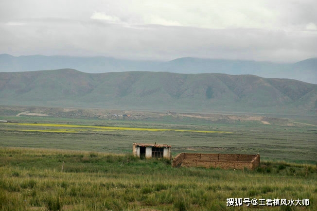 王君植最新寻龙之旅，揭开神秘面纱的探险之旅