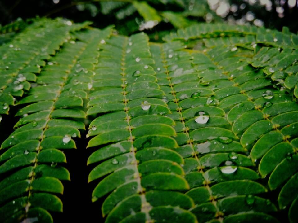 武汉常青花园最新规划，塑造未来城市典范新篇章