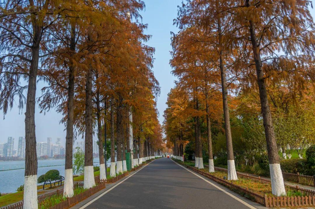 武汉未来城市脉络重塑，最新道路规划揭秘